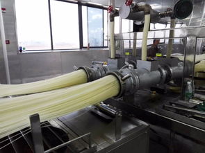 陈辉球的自动化米粉设备,熟化一体机是出机即熟的吗